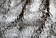 21st Jan 2023 - Water Patterns in Monochrome