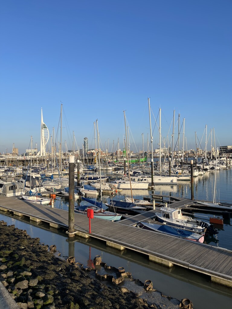 The marina looked busy today.  by bill_gk