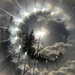 Sunshine spirals by joysabin