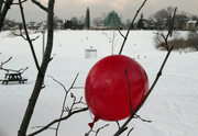 21st Jan 2023 - red balloon