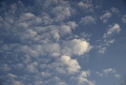 20th Jan 2023 - Fluffy Clouds