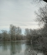 22nd Jan 2023 - Frosty lake