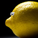 Portrait of a lemon