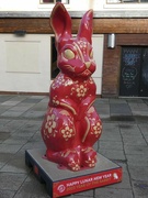 22nd Jan 2023 - The Year of the Rabbit