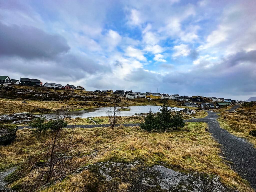 Hoyvík by mubbur