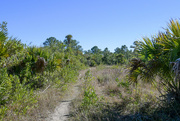 21st Jan 2023 - Florida Trail