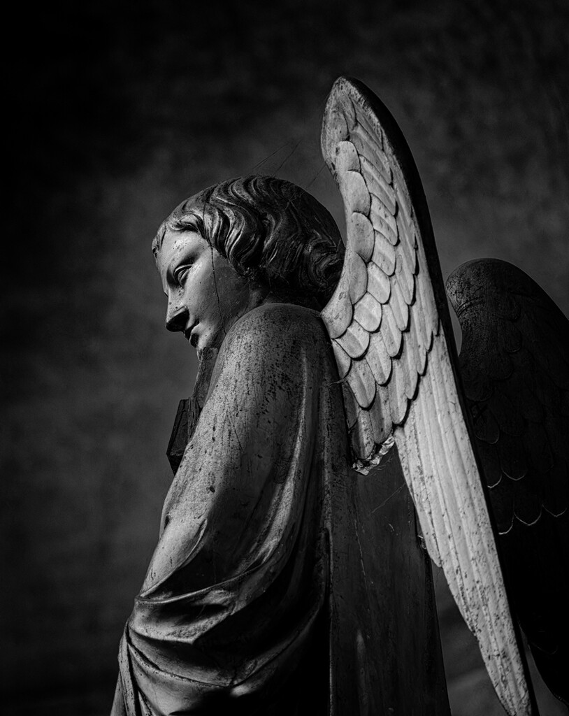 0122 - Angel in Cahors Cathedral by bob65