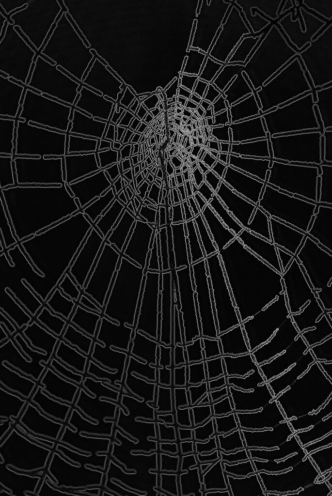 Dark web by sjoyce