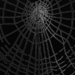 Dark web by sjoyce
