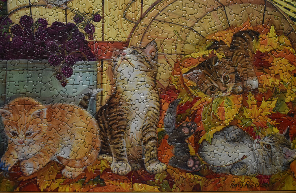 Harvest Kittens by bjywamer