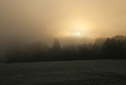 22nd Jan 2023 - Frosty Foggy Field