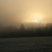 Frosty Foggy Field by shepherdman