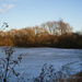 Patching Pond with ice