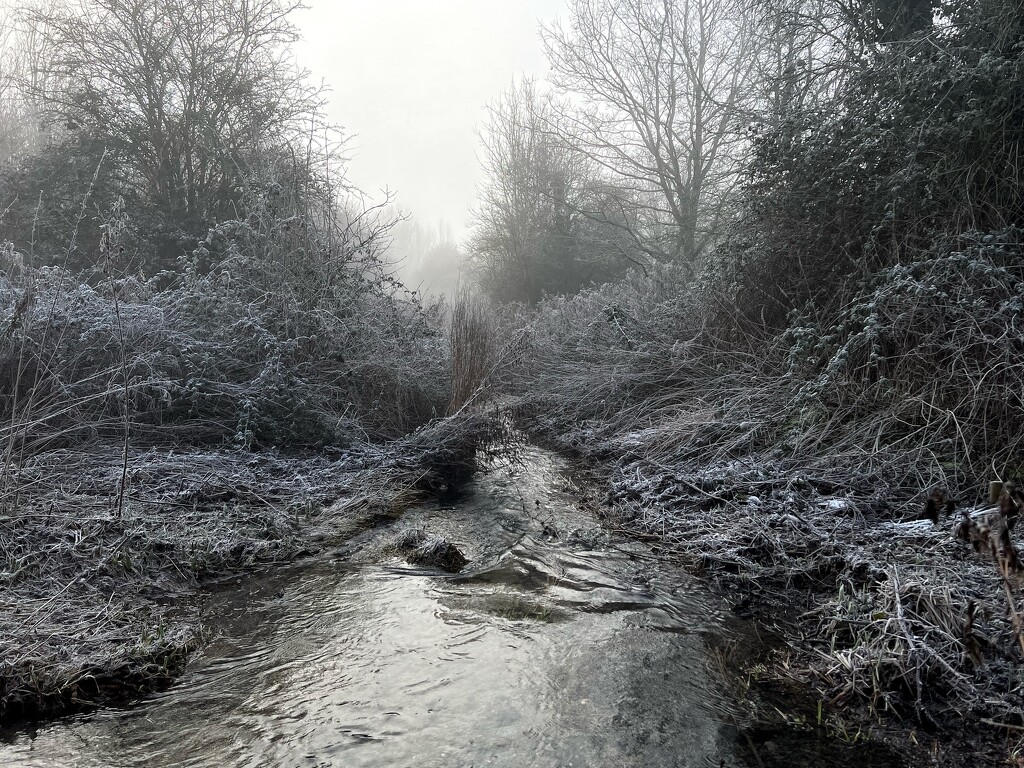 Freezing foggy stream  by gaillambert