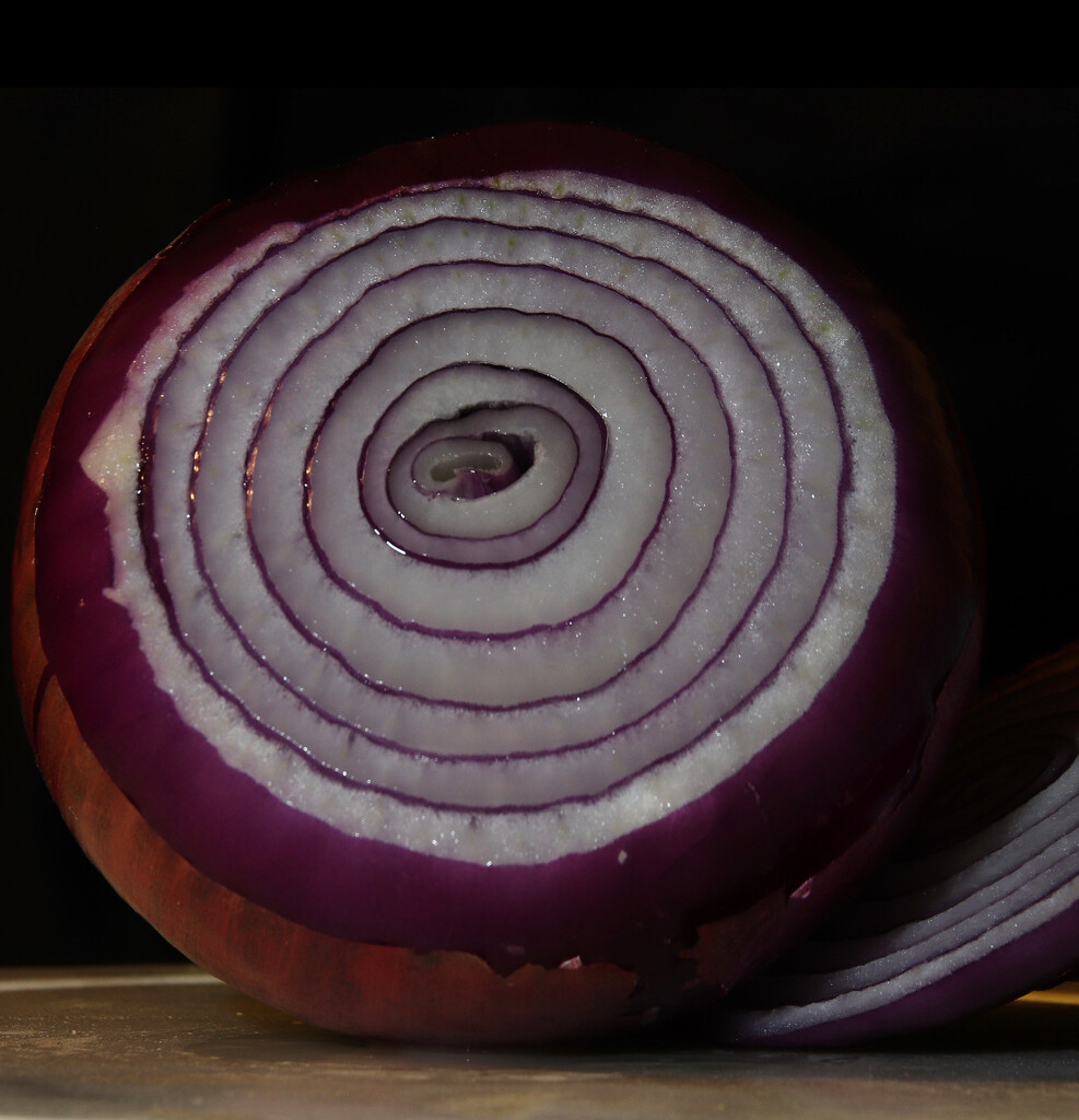 Day 22: Red Onion by sheilalorson