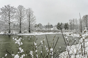 22nd Jan 2023 - Winter scene at Highland Park preserve