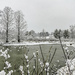 Winter scene at Highland Park preserve