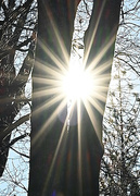 22nd Jan 2023 - Sunny Times