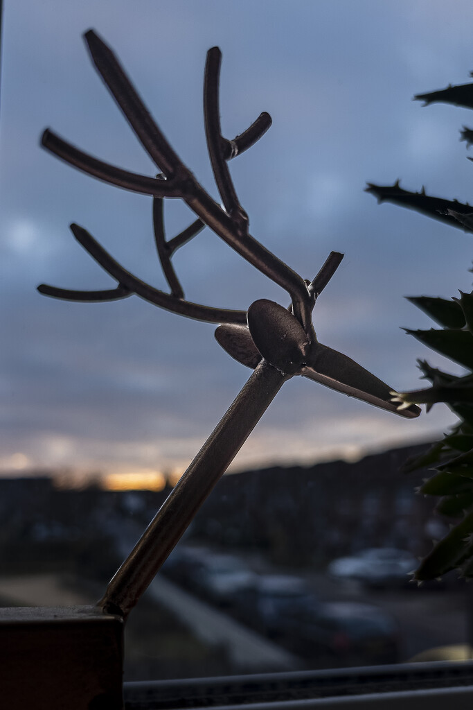 Reindeer - nope sunset dear  by terip