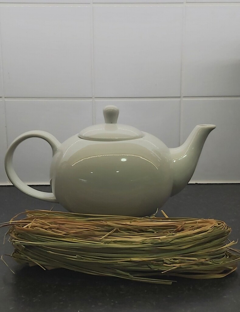 Lemongrass Tea by pammyjoy
