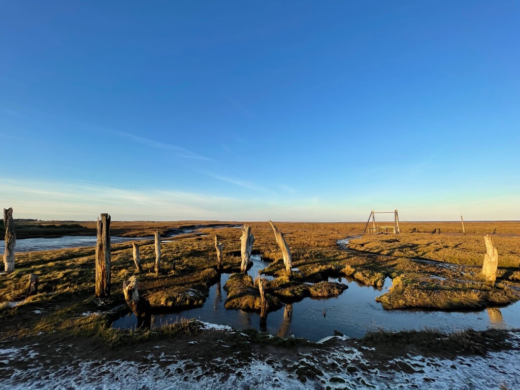 Thornham Salt Marsh by 365projectmaxine
