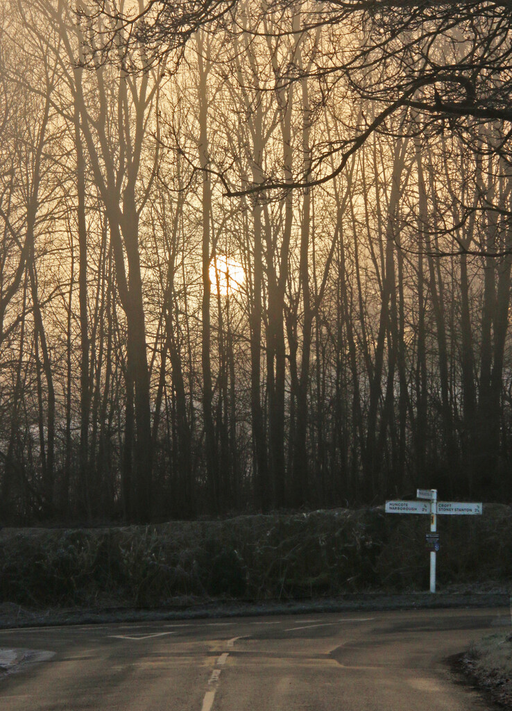 Sunrise on the Lane by shepherdman