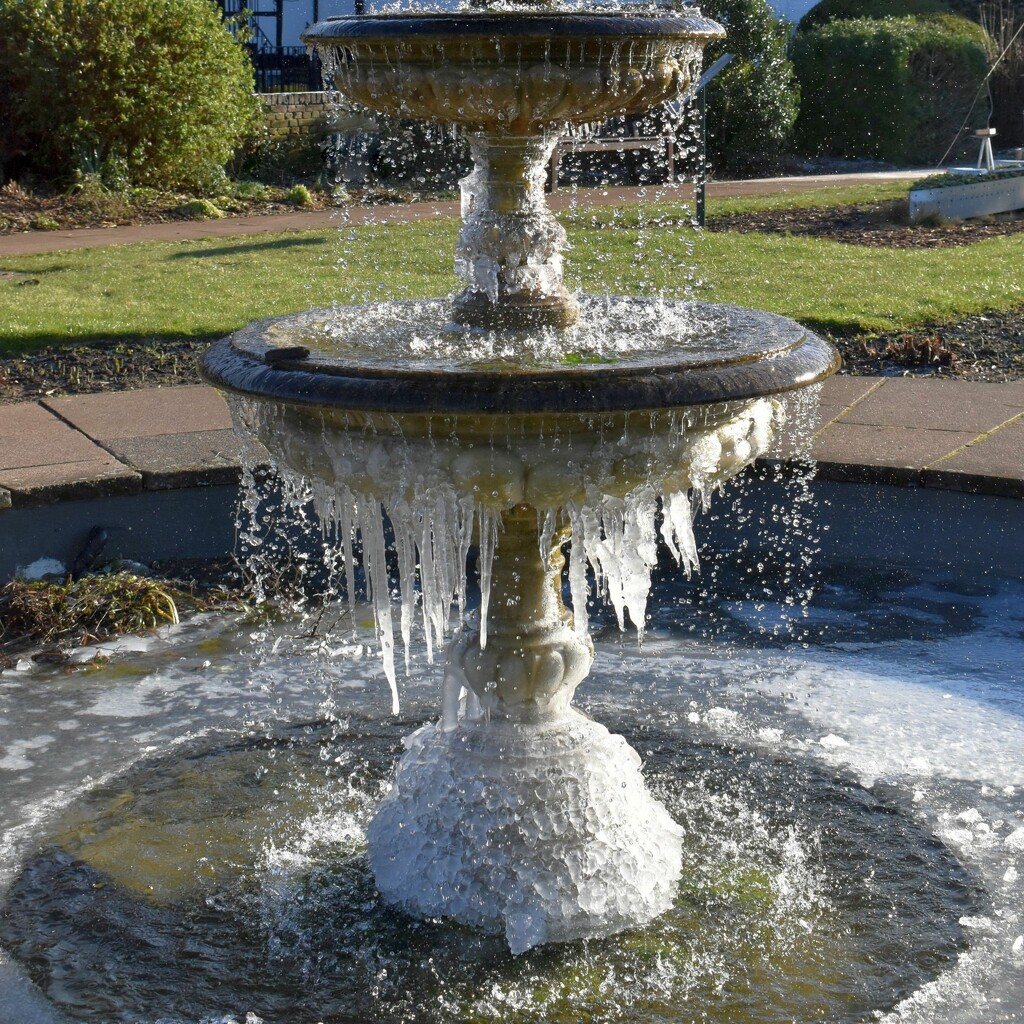 Freezing temperatures created icicles on this fountain by anitaw