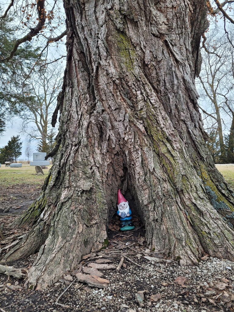 Hiding spot by scoobylou