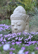 22nd Apr 2012 - Meditating in the Garden