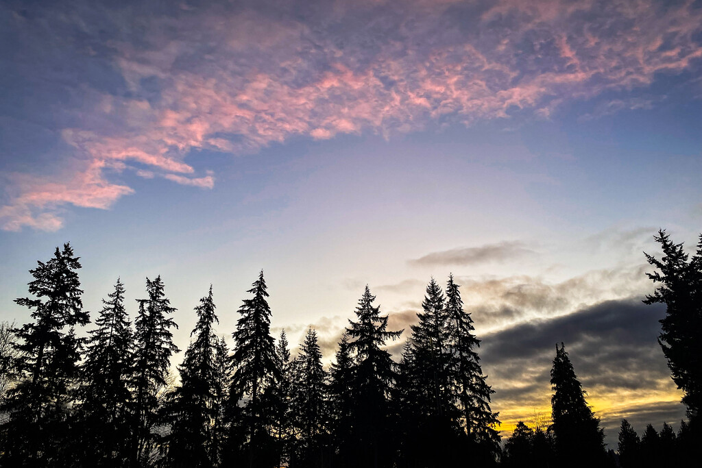 January Sunsets by tina_mac