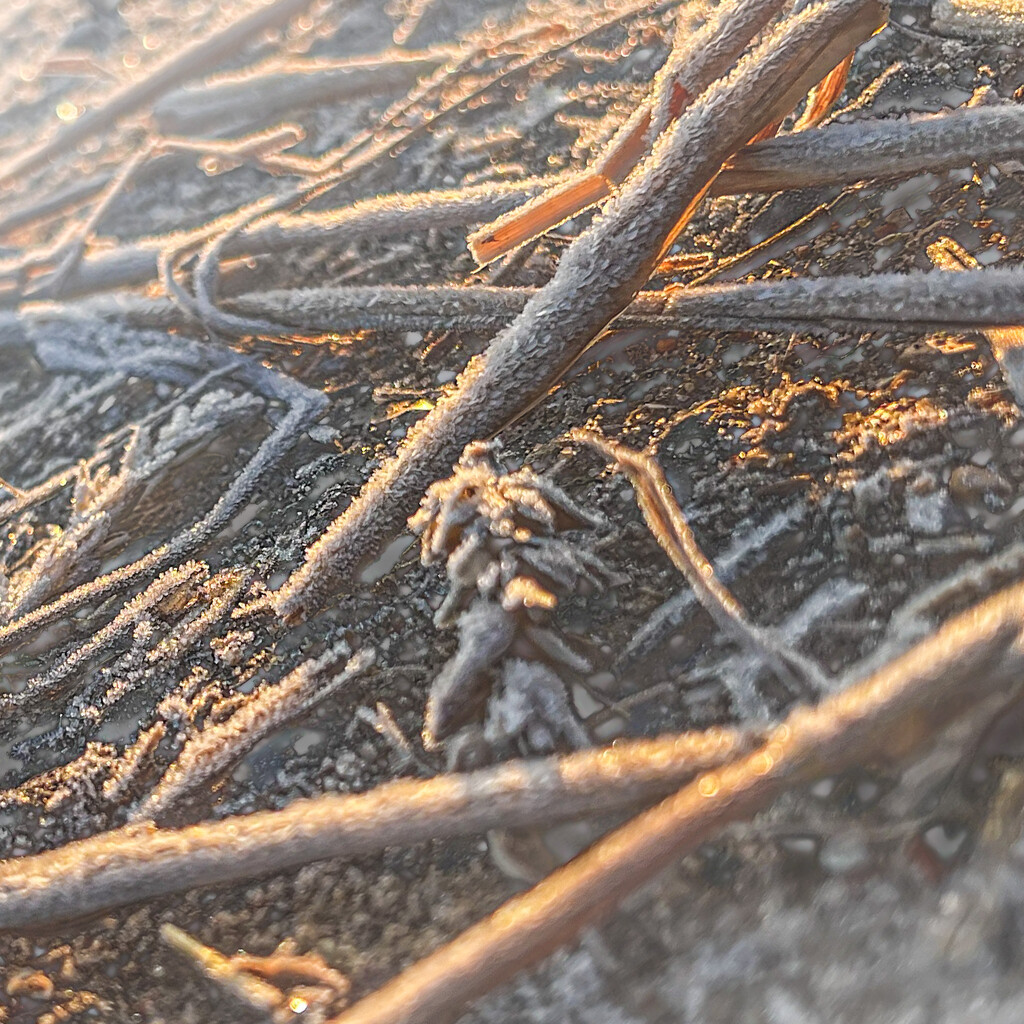 Frozen straw by catangus