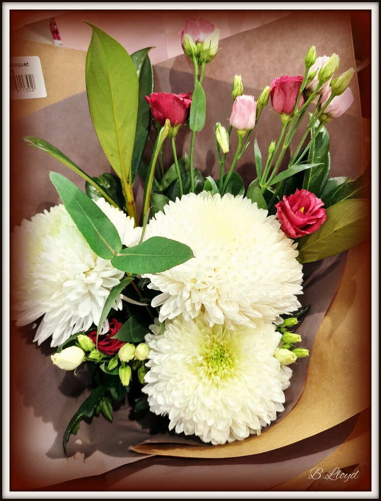 Chrysanthemums and Lisianthus  by beryl
