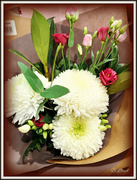 24th Jan 2023 - Chrysanthemums and Lisianthus 