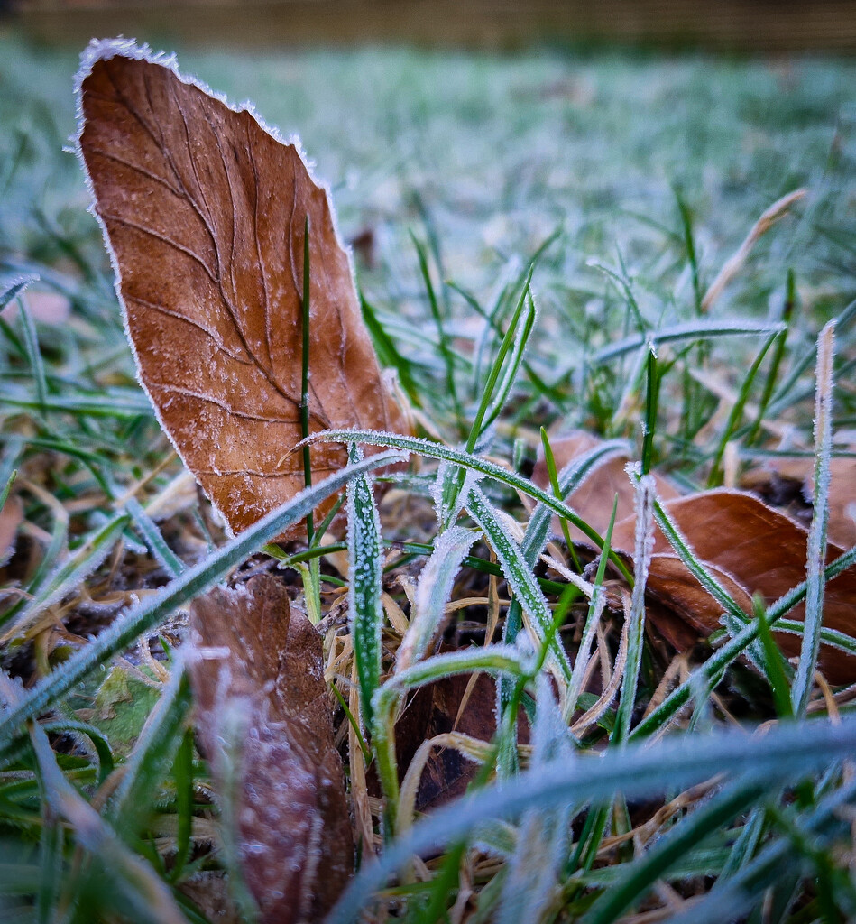 Another frosty morning by andyharrisonphotos
