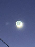 24th Jan 2023 - A thin Crescent moon?