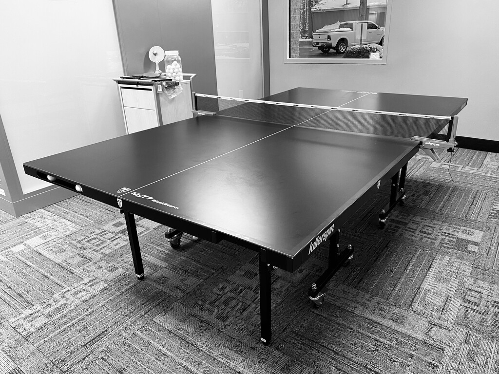 Table Tennis Anyone? by vacantview