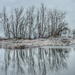 winter reflected