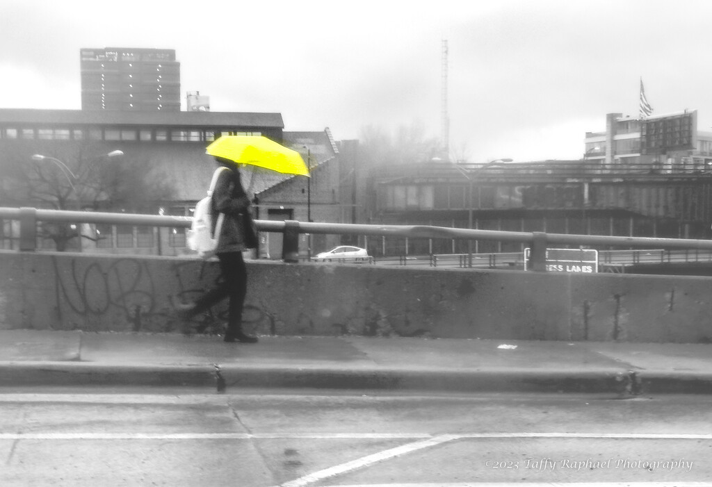 Yellow Umbrella Comes in Handy by taffy