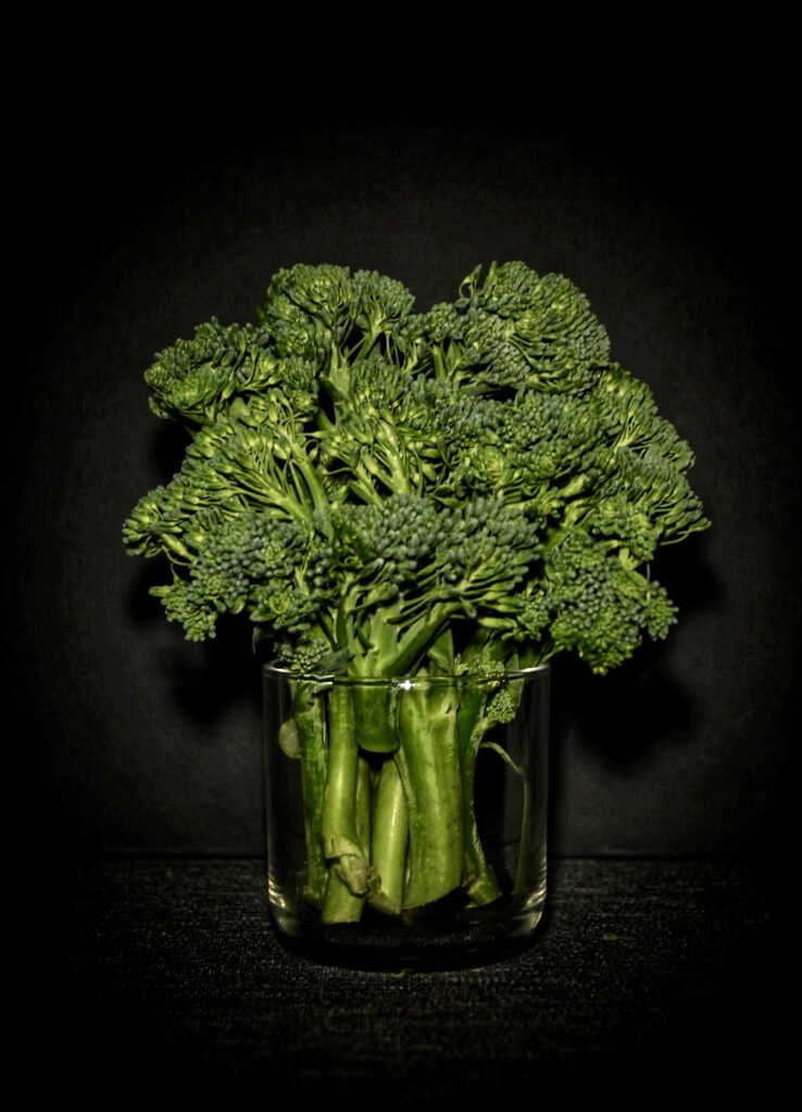 Vignette/Vegetable by wakelys