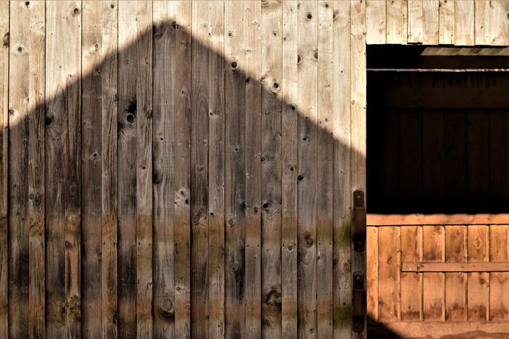 shed shapes by christophercox