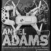 What could Ansel Adams have done with a Drone