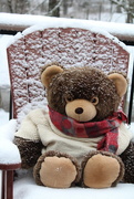 25th Jan 2023 - We're having a "beary" snowy day!