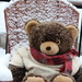 We're having a "beary" snowy day! by essiesue