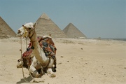 25th Jan 2023 - The Pyramids