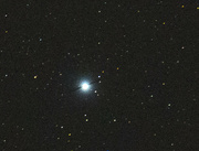 25th Jan 2023 - zoomed night Sky Comet?