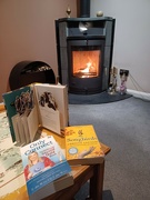 25th Jan 2023 - Books by the fire 