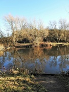 20th Jan 2023 - Iremongers Pond