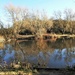 Iremongers Pond
