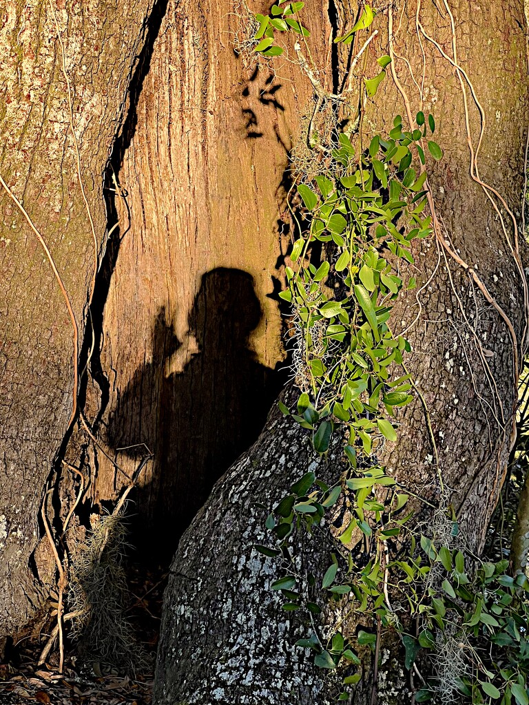 Love those shadow selfies! by congaree