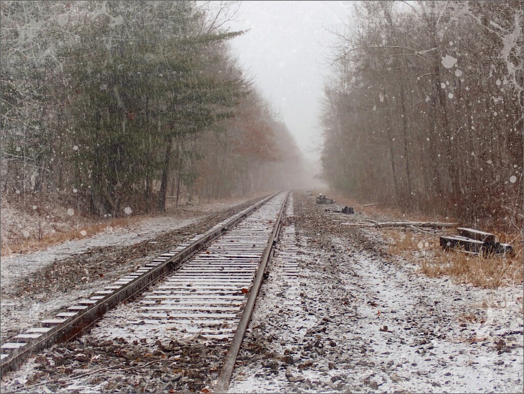 Snowbound Train Tracks by olivetreeann